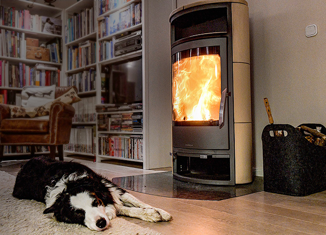 Hund vor Ofen